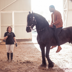 Riding Lessons