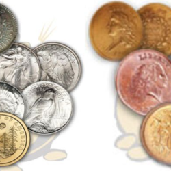 Coins & Paper Money