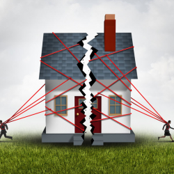 Mediation in Family, Divorce, or Custody Disputes