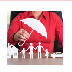 Insight Insurance Services