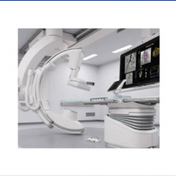  The Heart and Vascular Program