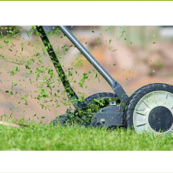 Lawn Maintenance