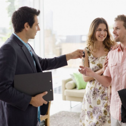 Property & Real Estate Essentials