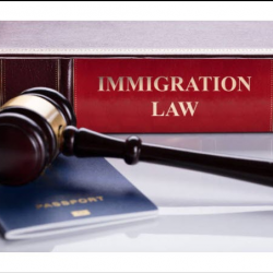 Immigration Appeals