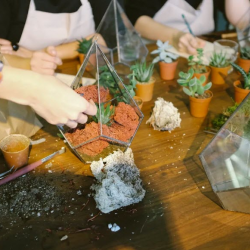 Group Garden Parties