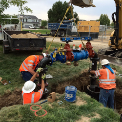 Engineering Division