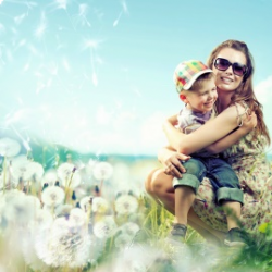 Workers Compensation 