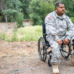 Disabled American Veterans