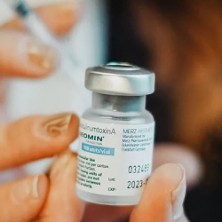 Customized For Your Needs