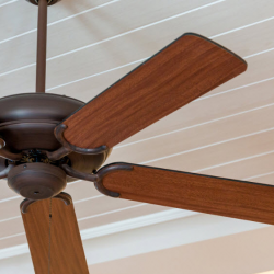 Lighting & Ceiling Fans