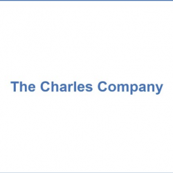 Concept for Development