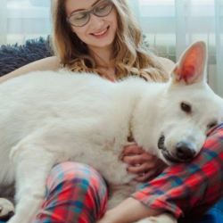 Chiropractic Services