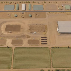 Practice Barrel Racing Arena