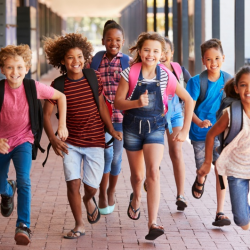 Curriculum Department