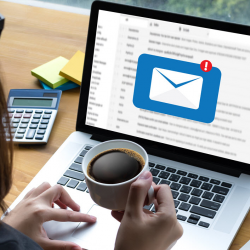 EDDM/Saturation Mailing