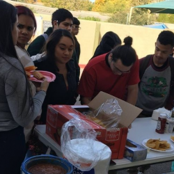 Clubs and Activities