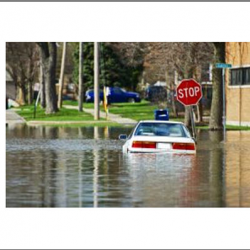 Flood Insurance