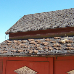 Regular Roof Maintenance