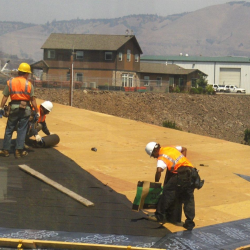 Roof Asset Management