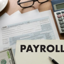 Payroll & Accounts Payable