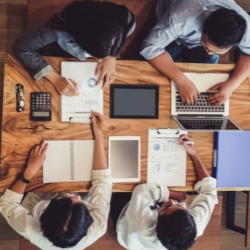 New Business Organization