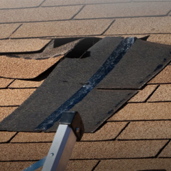 Rental Property Hassles