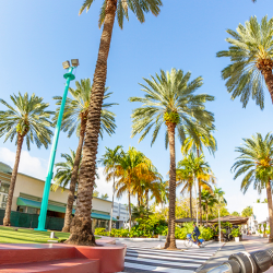 Vacant Home Management