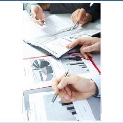 Business Plan Assessment & Documentation