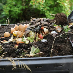 Organic Recycling