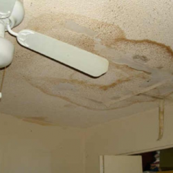 Water Damage