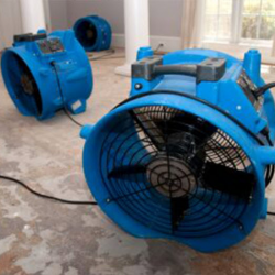 Water Damage Consulting