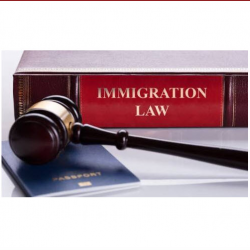 Immigration Law