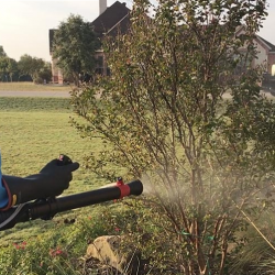 Mosquito Control