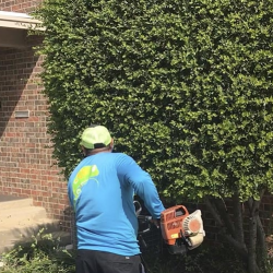 Landscape Maintenance