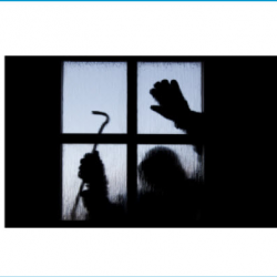 Security Systems Basics Video