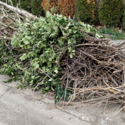 Residential Yard Waste Removal