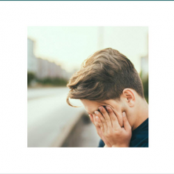 Trauma Focused Therapy