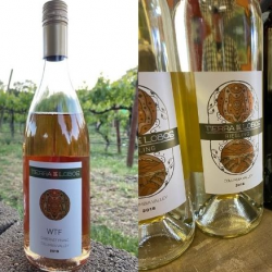 White & Rose Wines