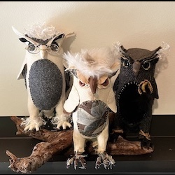 Black Mountain Owls