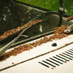 Express Unlimited Wash Club