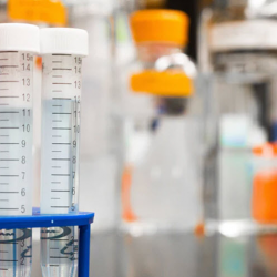 Research & Education