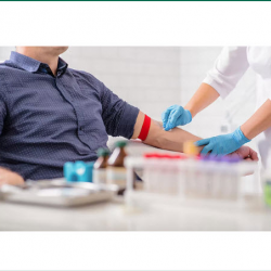 Laboratory & Testing