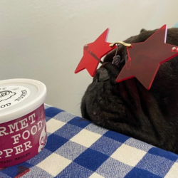 Gourmet Dog Food Toppers