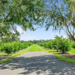 Business Opportunity