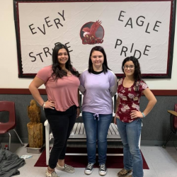 Bullying Complaint Form 