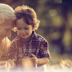 Life Insurance 