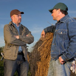 Risk Management Education