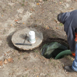 Environmental Health