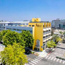 Real Estate & Developer