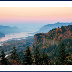 The Vision to Wealth Process